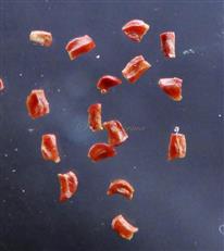  Seeds